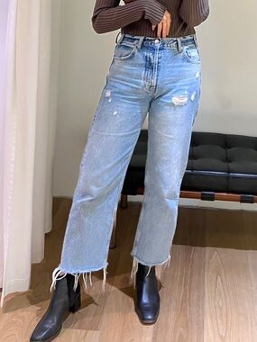 Anine Bing Gavin Jeans